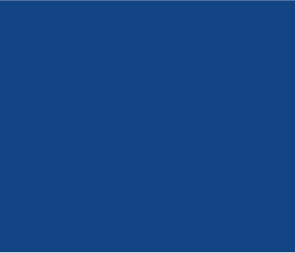 BLEU ECF