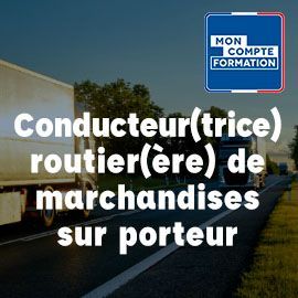 conducteur routier marchandises porteur ECF