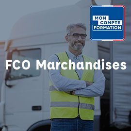 fco marchandises