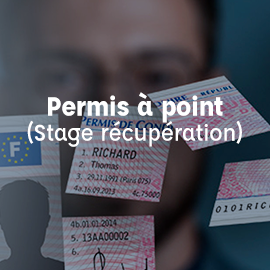 permis à point stage récupération ecf