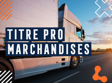 Titre Pro transport de marchandises sur porteur