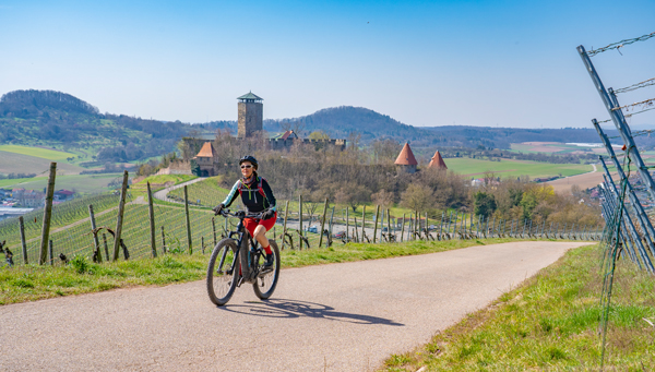 Vélo dans les vignes