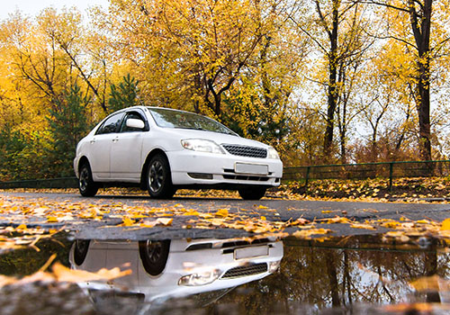 Voiture paysage automne